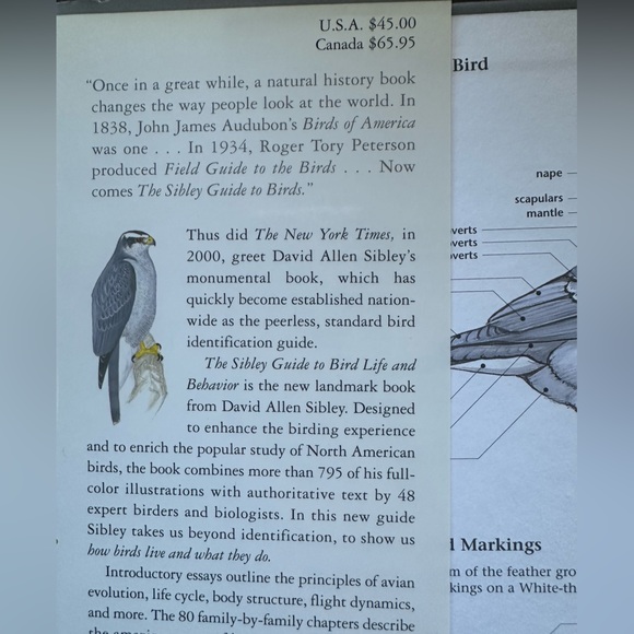Vintage Edition The Sibley Guide To Bird Life And Behavior p. 2001 - Picture 5 of 11